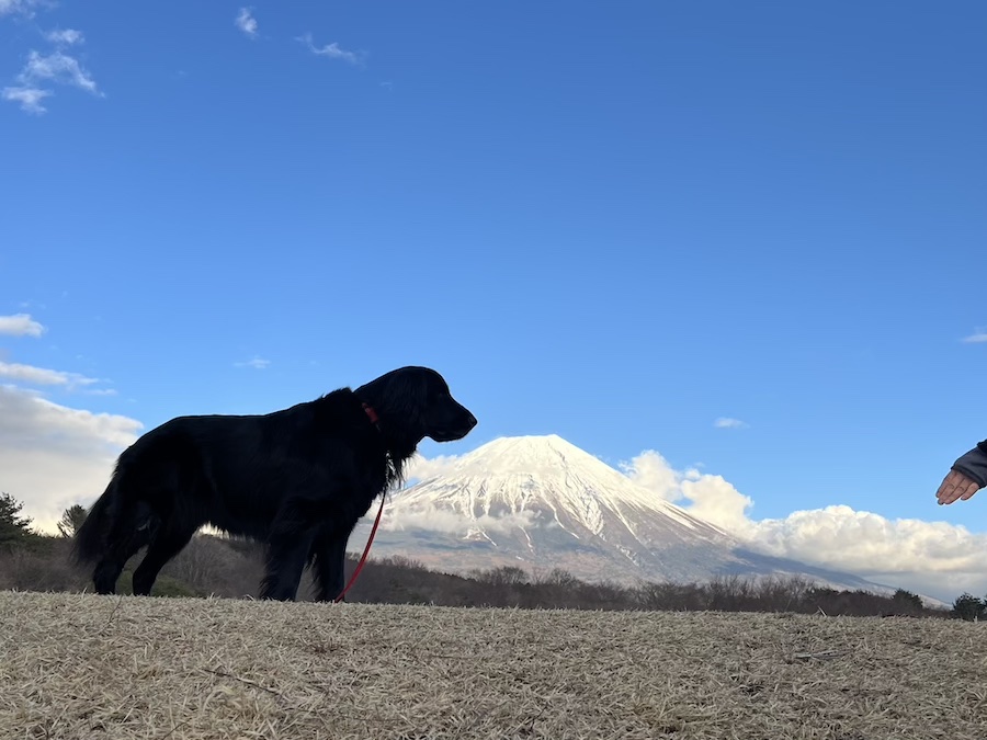 富士山 朝霧ジャンボリーオートキャンプ場