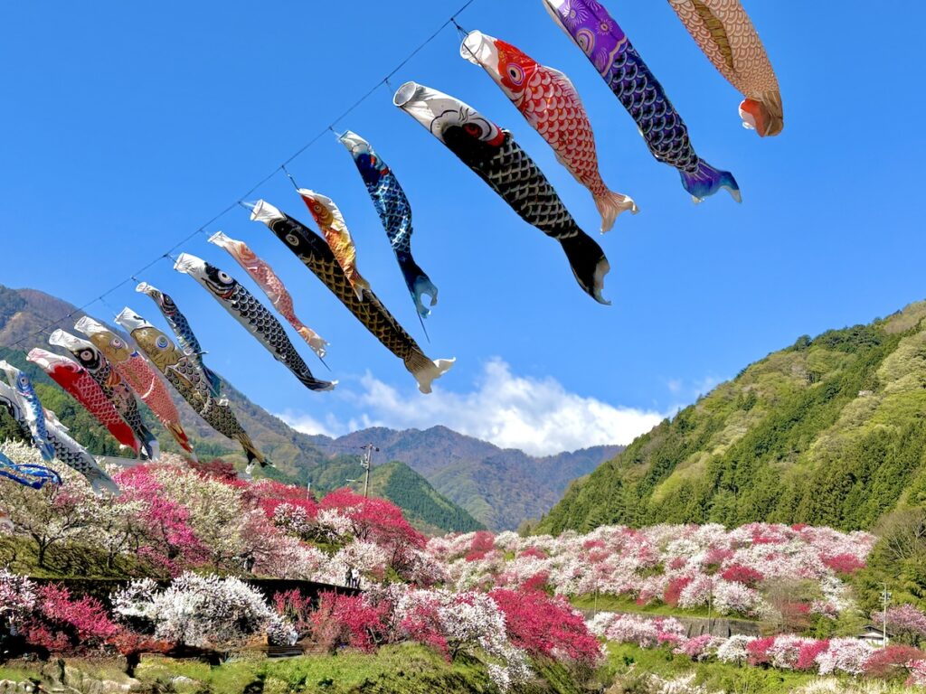 阿智村　花桃の里