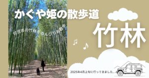 かぐや姫の散歩道