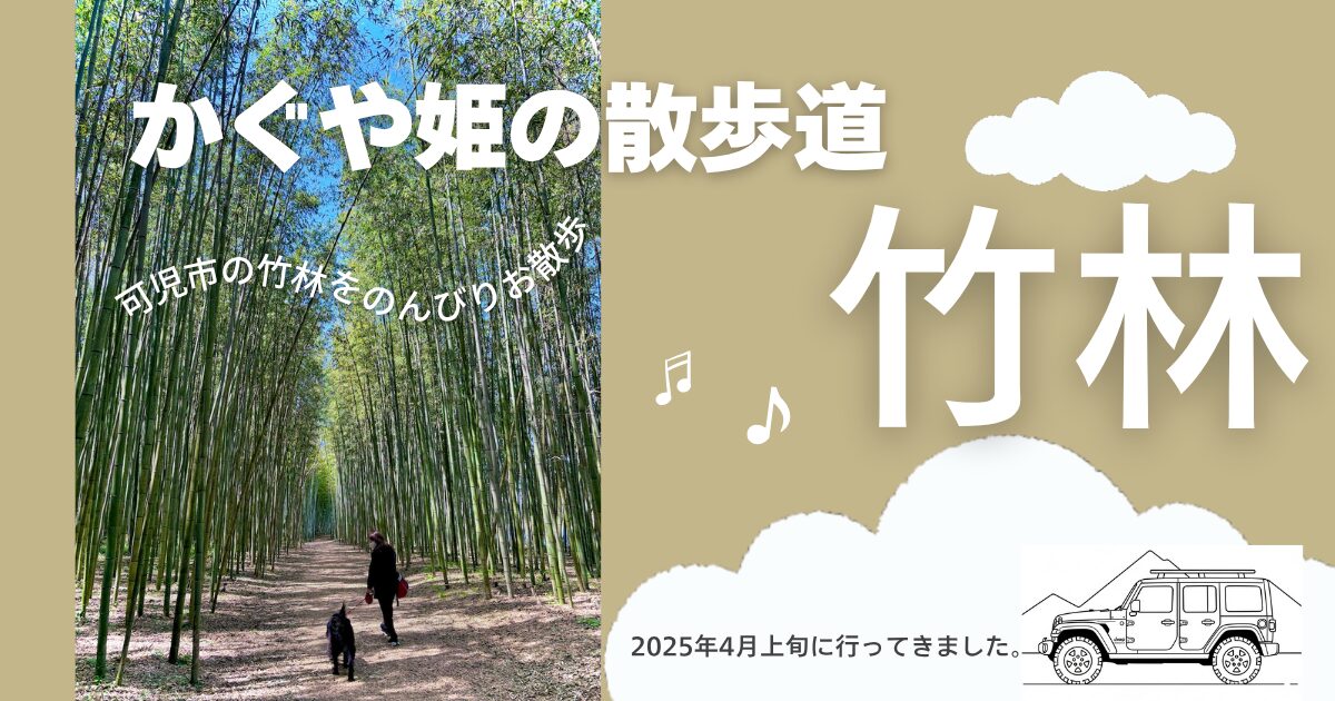 かぐや姫の散歩道