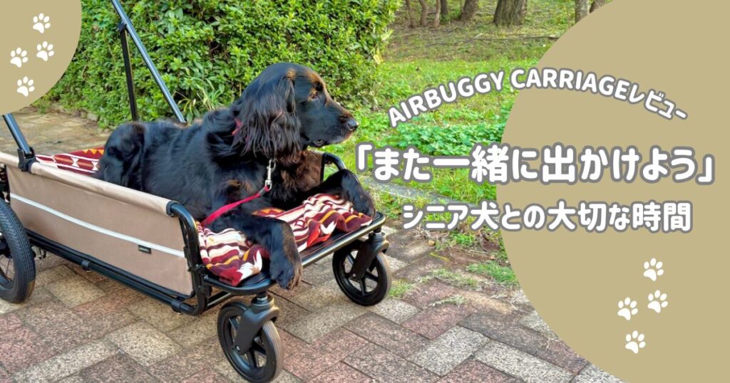 AIRBUGGY CARRIAGE　エアーバギー　フラットコーテッドレトリバー