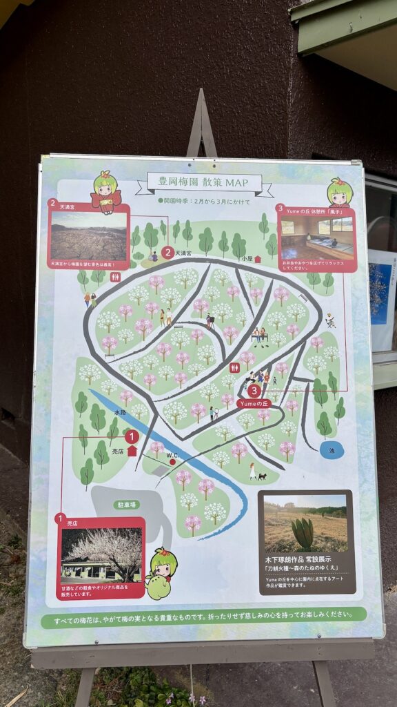 静岡県 豊岡梅園 紅梅 2月下旬 わんこ連れ散歩