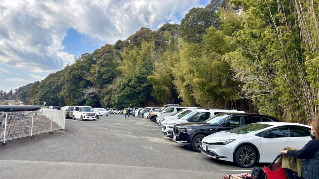 静岡県 豊岡梅園 紅梅 2月下旬 わんこ連れ散歩
