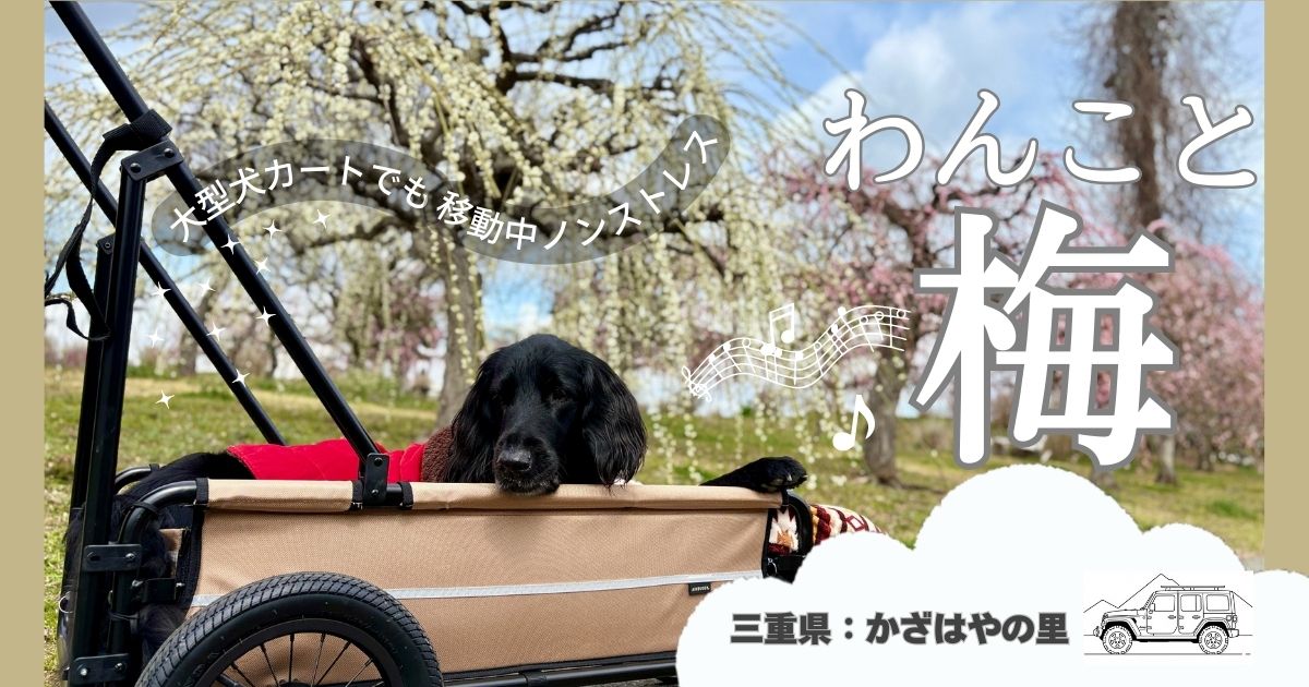 三重県津市　かざはやの里