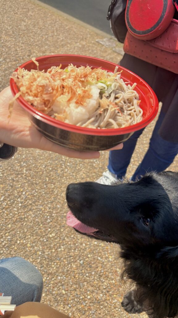 越前おろしそば　三方五湖