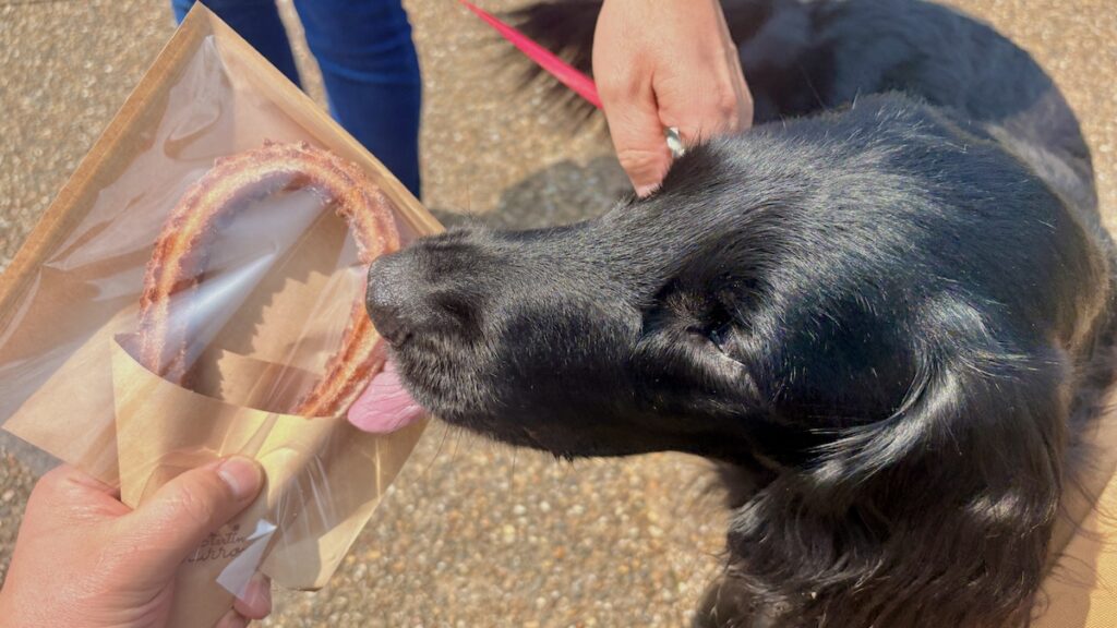 道の駅三方五湖　米粉チュロス