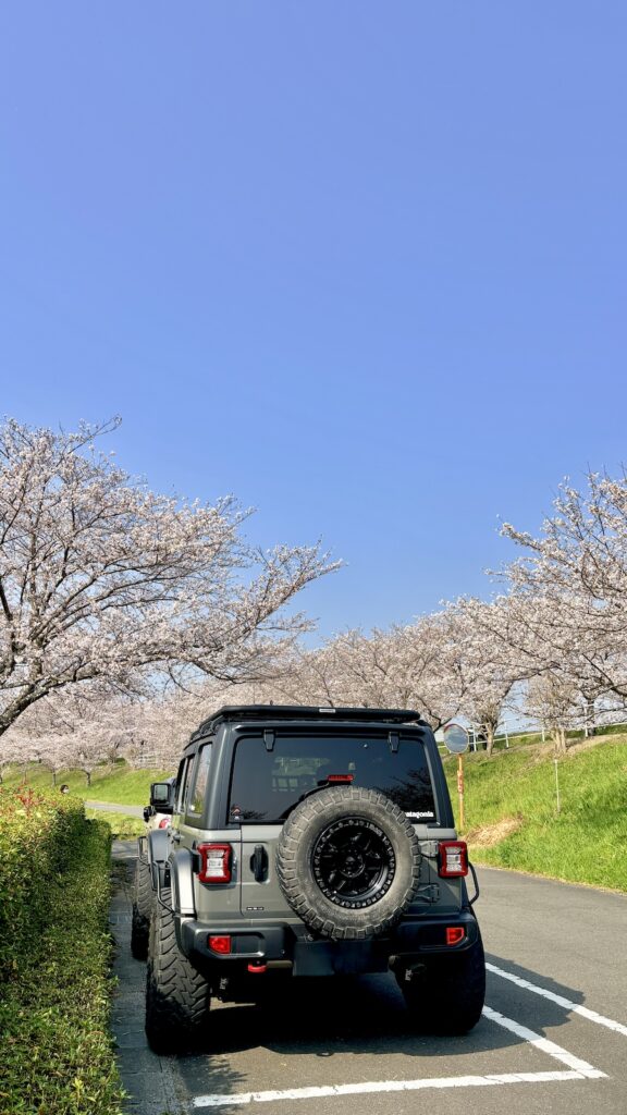 大榑川堤の桜並木