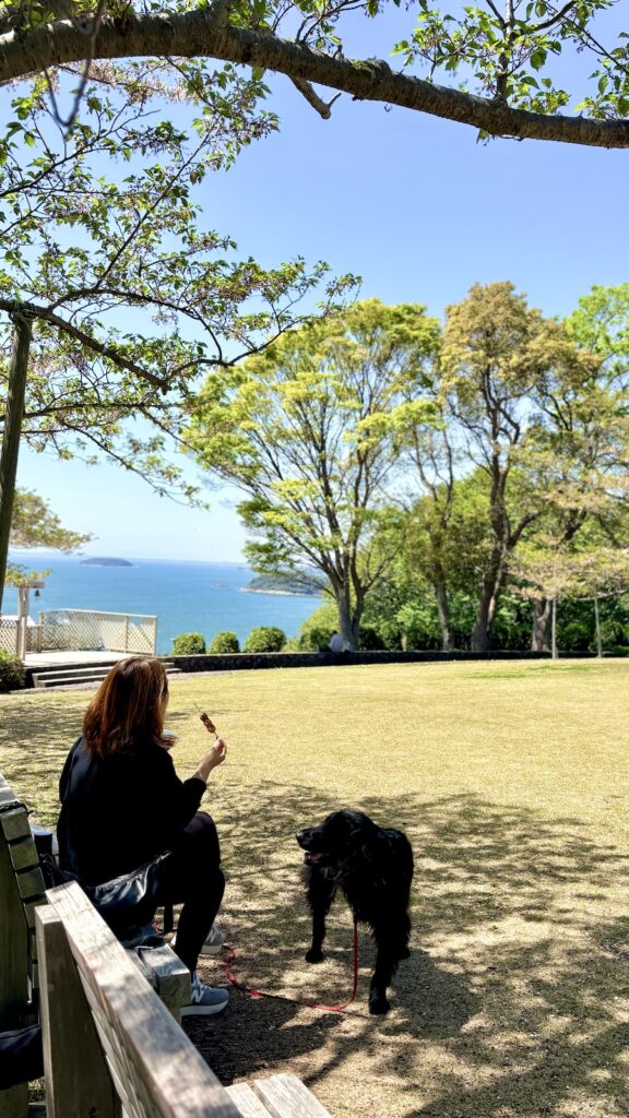 西浦園地から見た三河湾の絶景