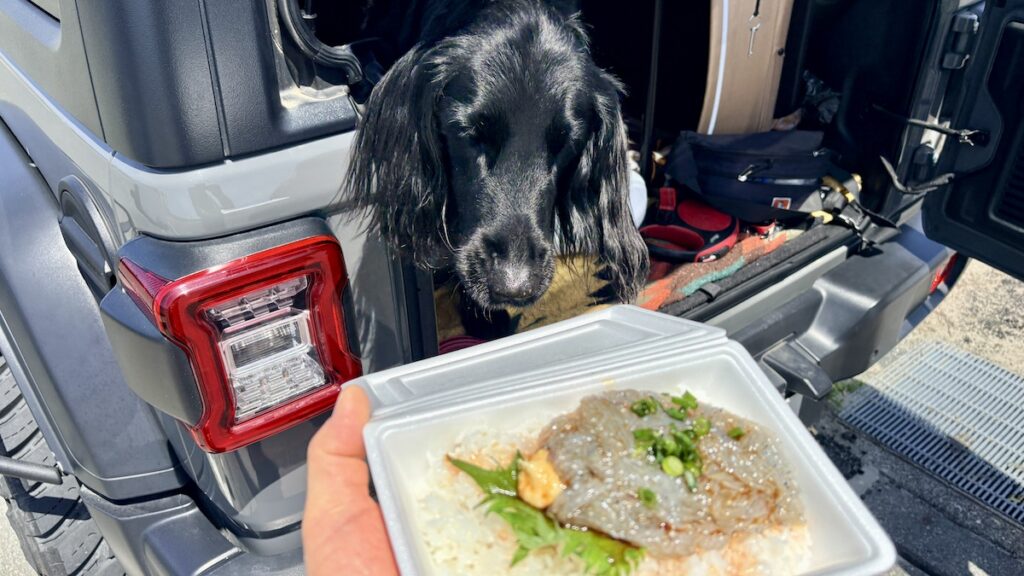 渚の交流館　しらす丼