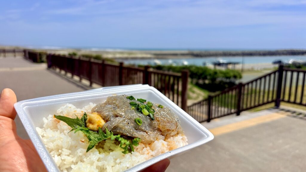渚の交流館　しらす丼