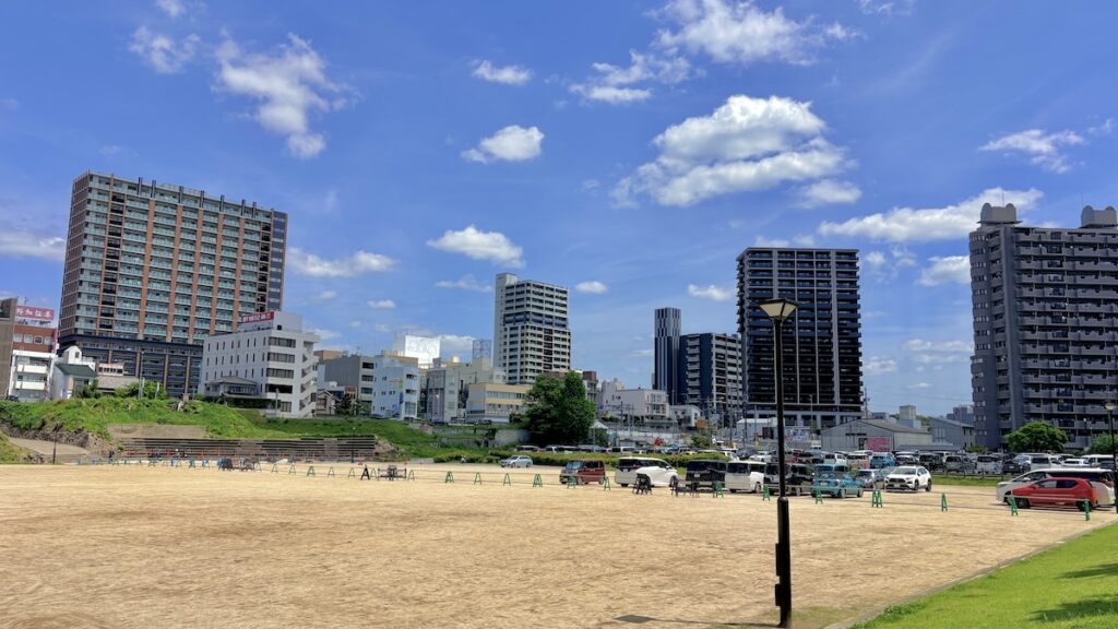 岡崎城公園の五万石藤