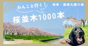 岐阜県海津　大榑川堤　