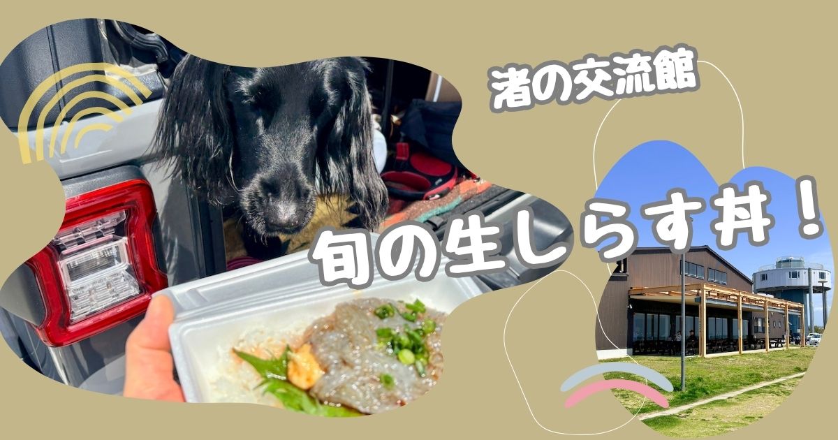 渚の交流館　生しらす丼