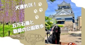 岡崎城公園　