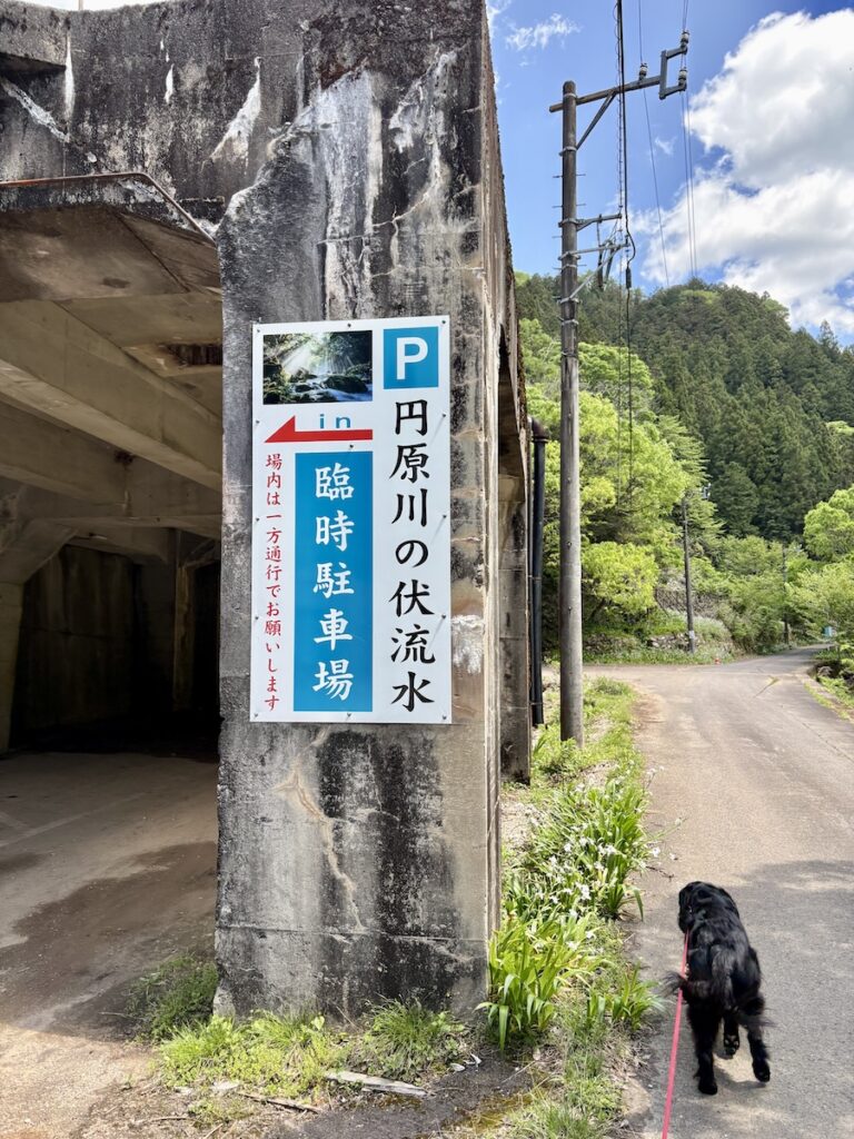 岐阜県 円原の伏流水