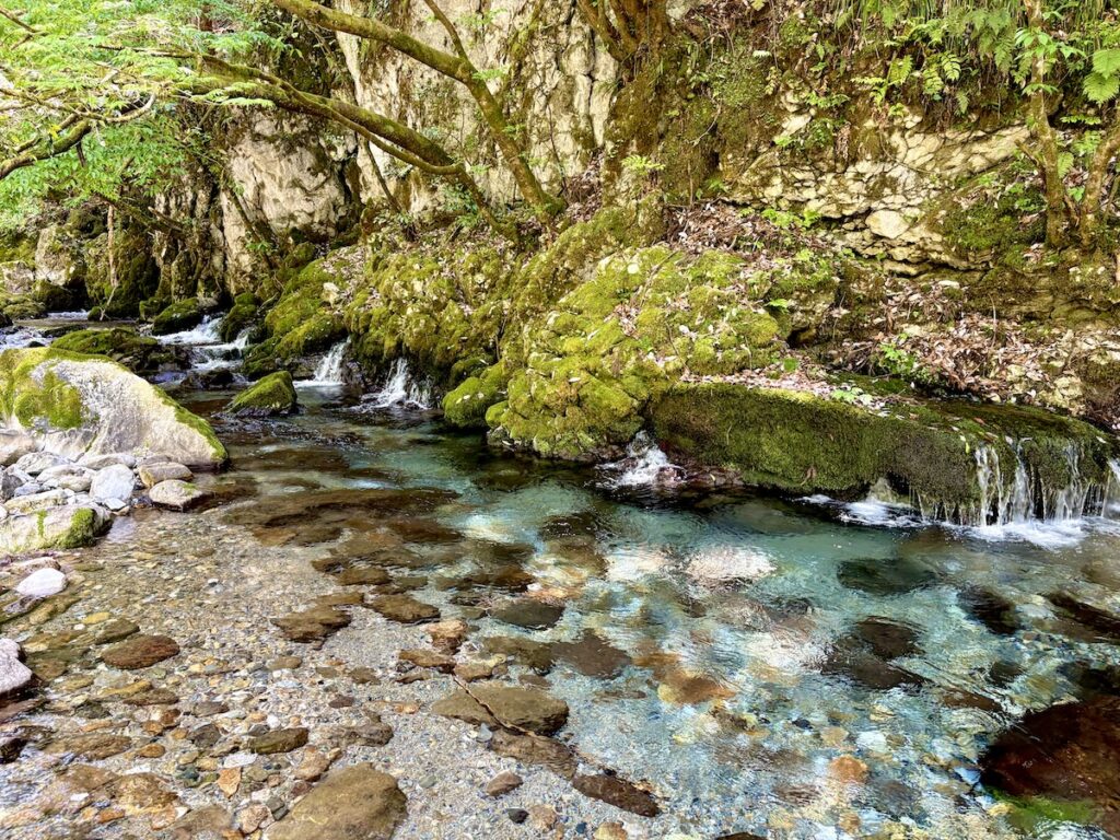 岐阜県 円原の伏流水