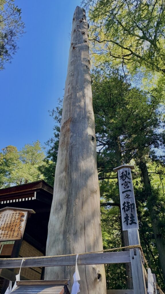 GW諏訪湖ドライブ｜諏訪大社とLanaと長門牧場ソフトクリーム