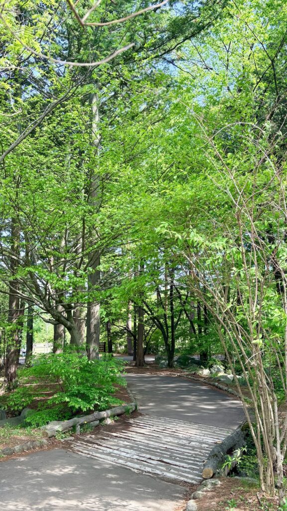 道の駅大芝高原｜広大な公園で新緑散歩・足湯も楽しめる