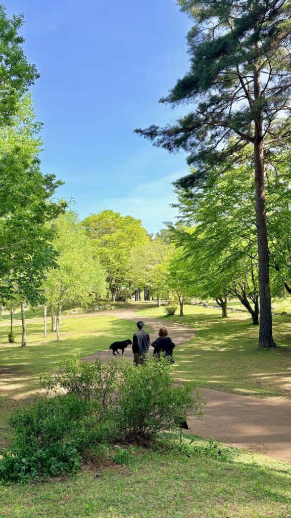 道の駅大芝高原｜広大な公園で新緑散歩・足湯も楽しめる