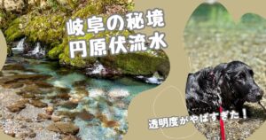 円原伏流水 岐阜山県市