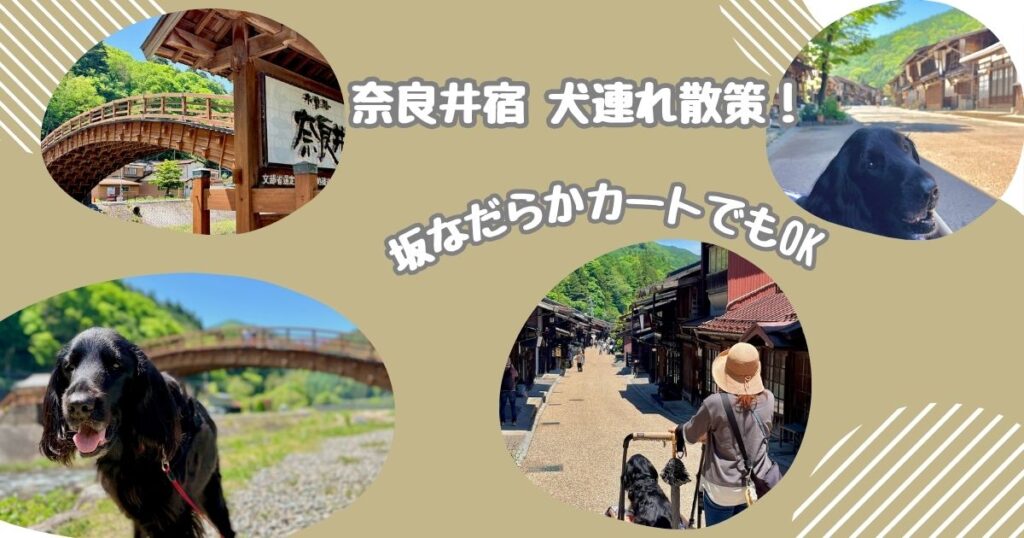 奈良井宿 犬連れ散策 フラットコーテッドレトリバー カート