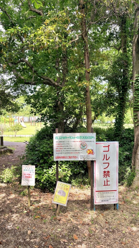琵琶湖近く曽根沼湖岸緑地の呼吸根