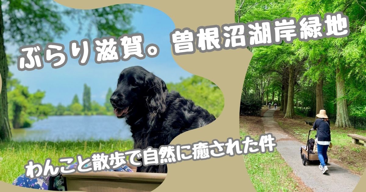 滋賀、曽根沼湖岸緑地